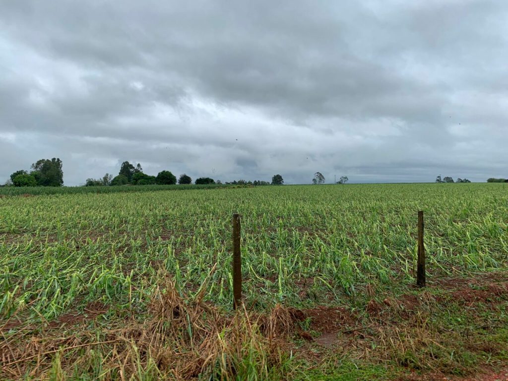 Temporal destruiu 40% da lavoura em assentamento e atingiu outras cidades