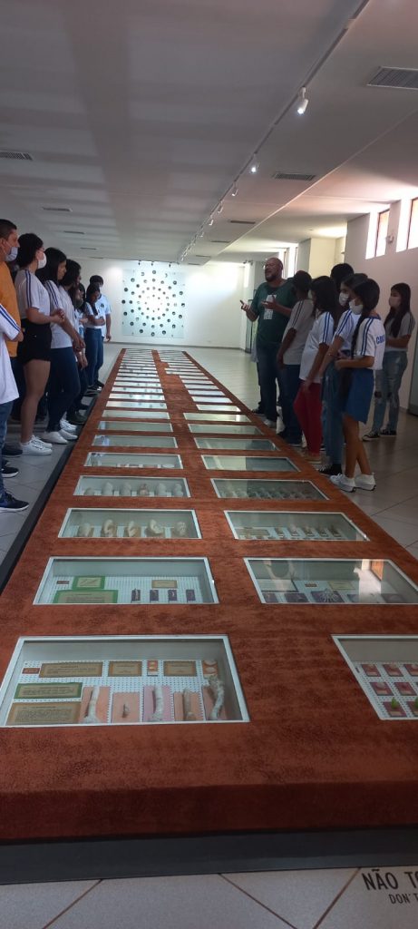 Alunos de Caracol participam de excursão até o Museu Dom Bosco e Bio Park do Pantanal na capital