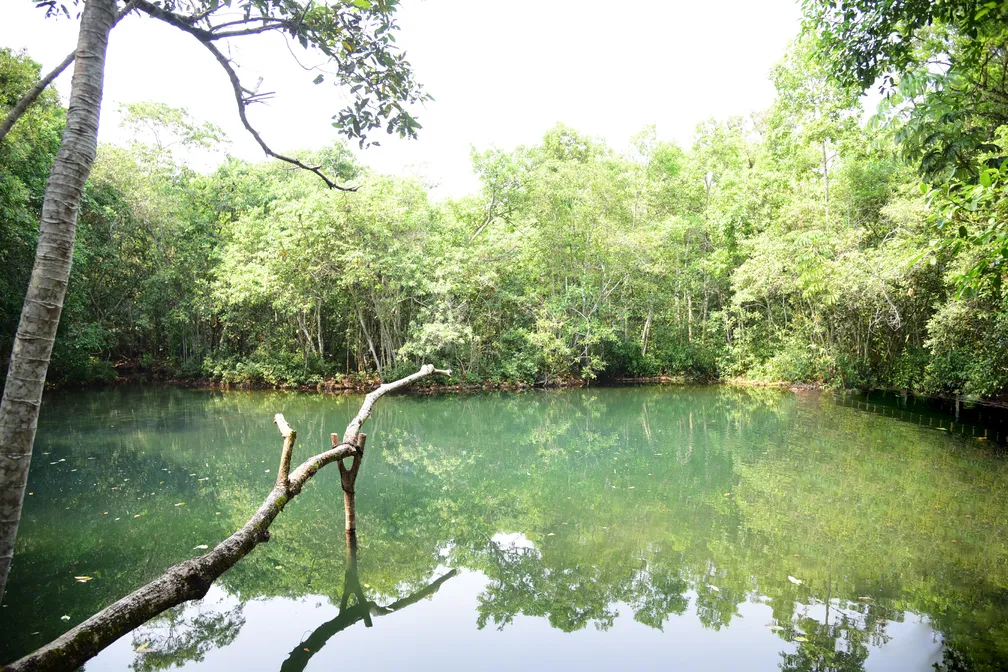 Focado na sustentabilidade e uso racional da água, MS tem mais de 1,3 mil nascentes protegidas pelos produtores rurais