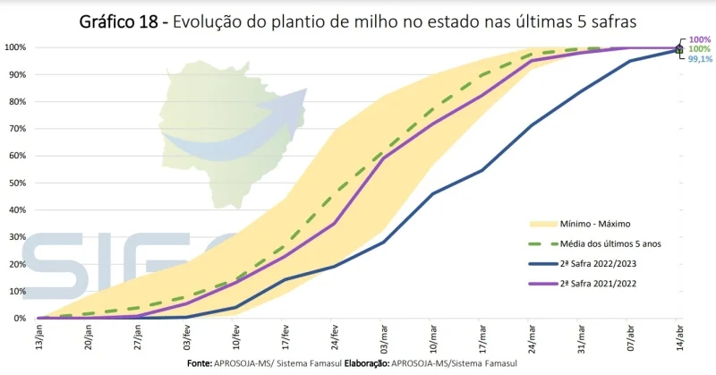 Restando menos de 1% do milho para plantar no MS, preço da saca recua mais de 12% na semana, aponta Famasul