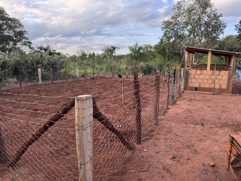 Projeto Fomento Rural é sucesso e já traz resultados concretos em Paranhos Projeto Fomento Rural é sucesso e já traz resultados concretos em Paranhos