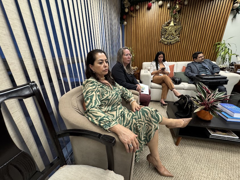 Prefeito Carlos Humberto Pagliosa e vereadores celebram resultados de viagem a Brasília