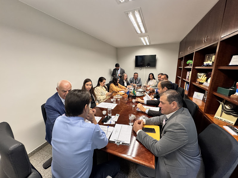 Prefeito Neco e vereadores de Caracol cumprem agenda positiva em Brasília