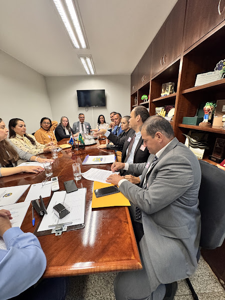 Prefeito Neco e vereadores de Caracol cumprem agenda positiva em Brasília