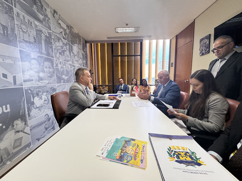 Prefeito Neco e vereadores de Caracol cumprem agenda positiva em Brasília
