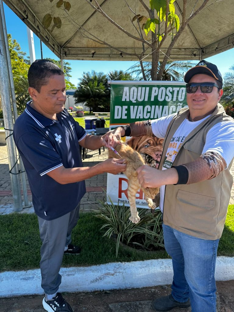 Vacinação antirrábica ultrapassa 520 animais vacinados em Caracol e Alto Caracol Vacinação antirrábica ultrapassa 520 animais vacinados em Caracol e Alto Caracol