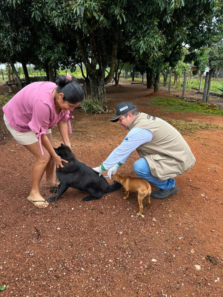 Vacinação antirrábica ultrapassa 520 animais vacinados em Caracol e Alto Caracol Vacinação antirrábica ultrapassa 520 animais vacinados em Caracol e Alto Caracol