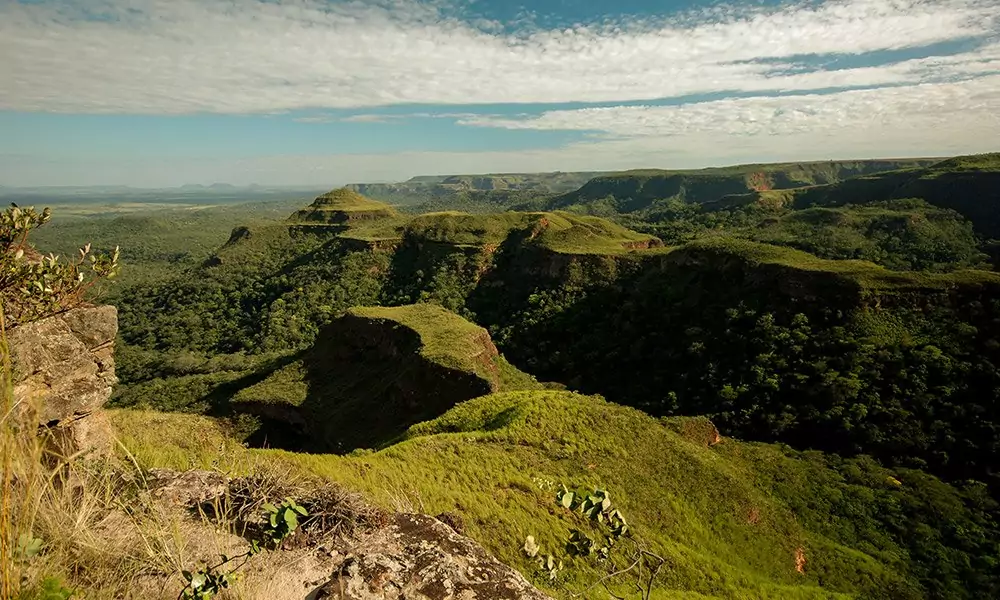 Parques e unidades de conservação voltam aos roteiros do Ecoturismo em MS Parques e unidades de conservação voltam aos roteiros do Ecoturismo em MS