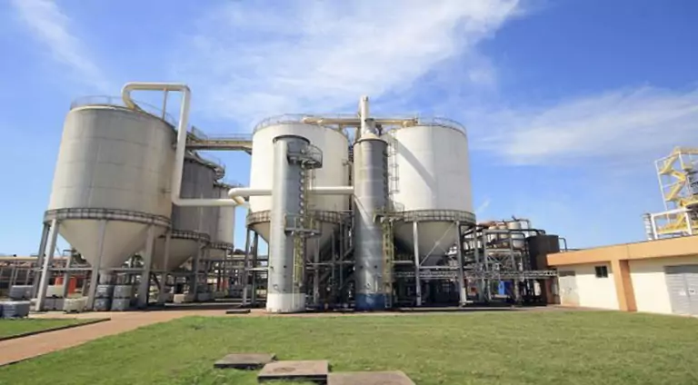 Carbono Neutro: geração de energia elétrica a partir da biomassa de cana-de-açúcar aumenta 365% em MS