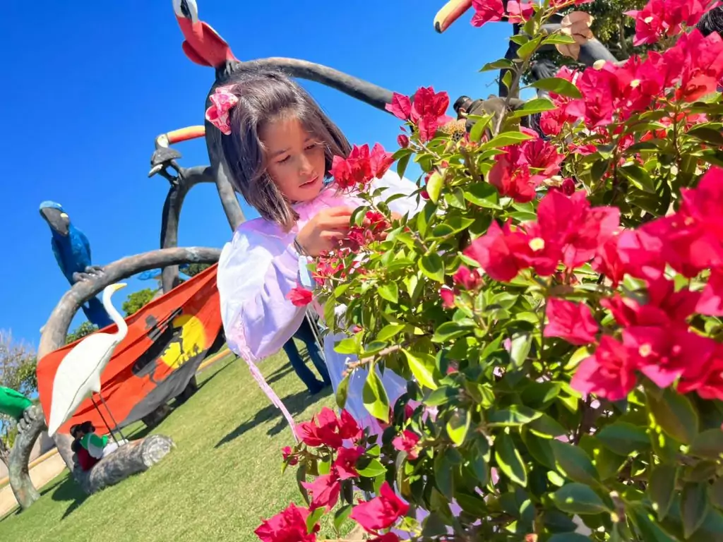 Em atividade proposta na coletânea do MS Alfabetiza, alunos de Caracol estudam cultura de Mato Grosso do Sul com prática de roda de tereré Em atividade proposta na coletânea do MS Alfabetiza, alunos de Caracol estudam cultura de Mato Grosso do Sul com prática de roda de tereré