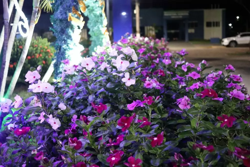 III Sarau das Mulheres de Caracol aborda os avanços e as conquistas femininas