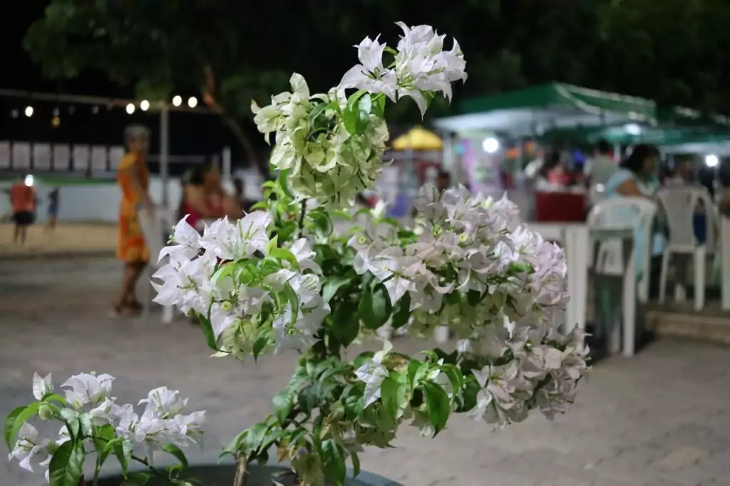 III Sarau das Mulheres de Caracol aborda os avanços e as conquistas femininas