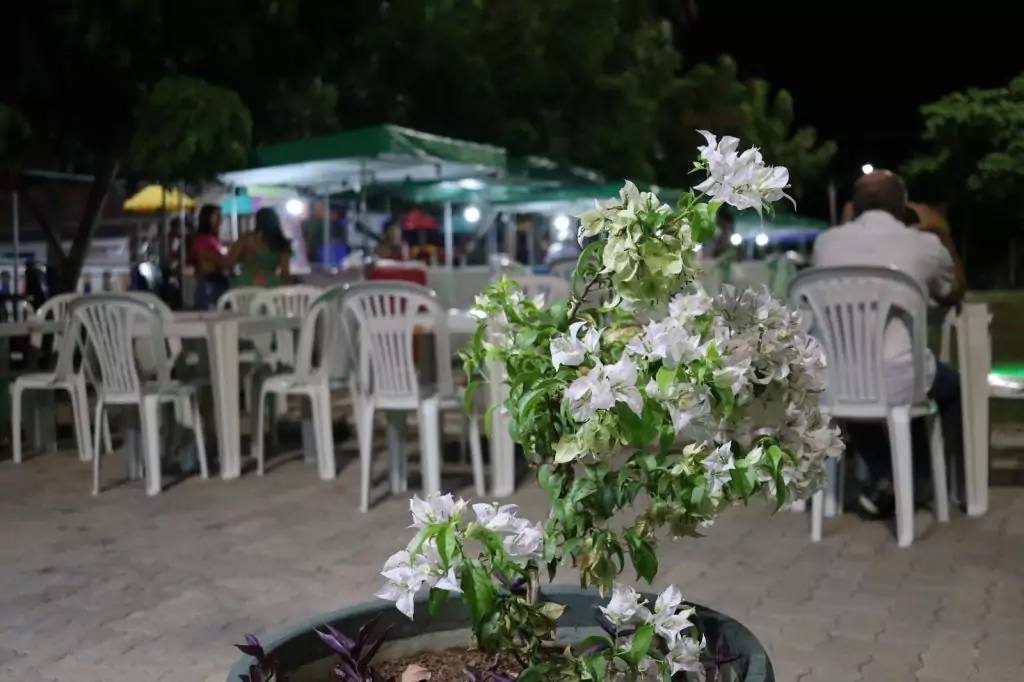 III Sarau das Mulheres de Caracol aborda os avanços e as conquistas femininas