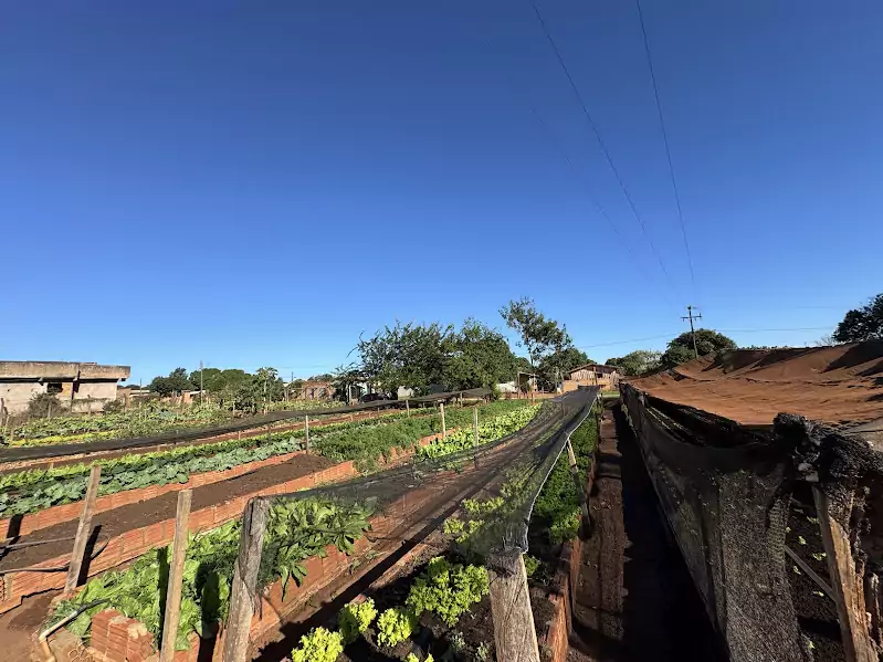 Horta Municipal de Paranhos cumpre papel essencial na alimentação de creches, hospital e população em situação de vulnerabilidade Horta Municipal de Paranhos cumpre papel essencial na alimentação de creches, hospital e população em situação de vulnerabilidade
