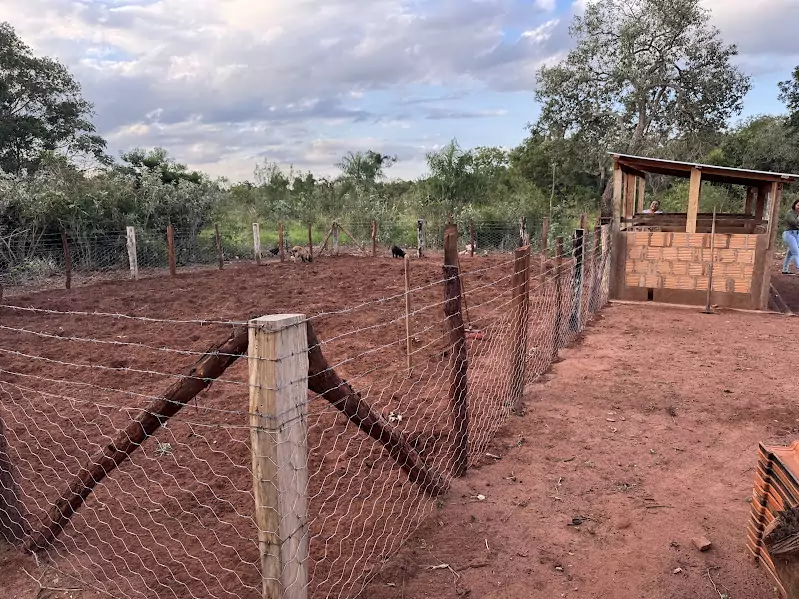Projeto Fomento Rural é sucesso e já traz resultados concretos em Paranhos Projeto Fomento Rural é sucesso e já traz resultados concretos em Paranhos