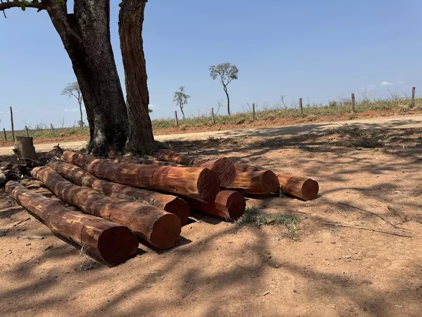 Secretaria de Obras de Caracol realiza manutenção preventiva em estradas rurais