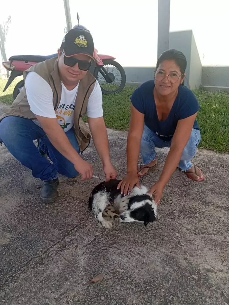 Vacinação antirrábica ultrapassa 520 animais vacinados em Caracol e Alto Caracol